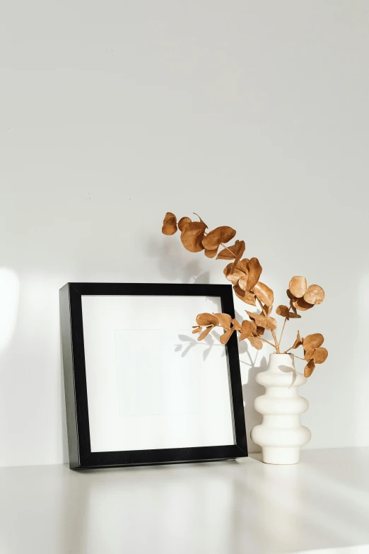 a picture frame sitting on top of a white table, trending on unsplash, magnolia stems, black and brown colors, square facial structure, bright ambient lighting