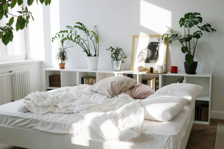 a white bed sitting in a bedroom next to a window, trending on unsplash, light and space, covered in plants, lying down, bedhead, studyng in bedroom