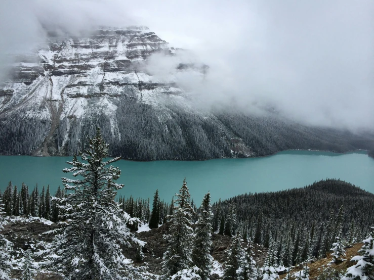 a large body of water surrounded by snow covered trees, by Brigette Barrager, pexels contest winner, hurufiyya, rocky mountains, green water, overcast lake, blue glacier