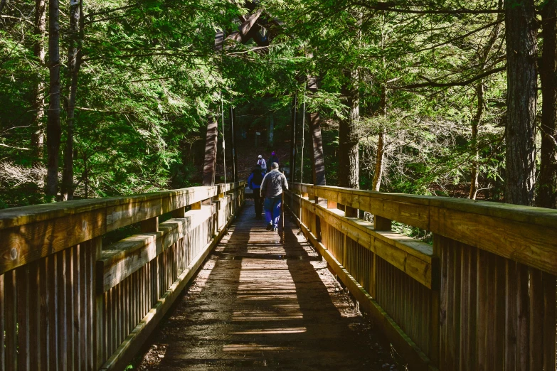 a couple of people walking across a wooden bridge, by Julia Pishtar, unsplash, william penn state forest, 2 5 6 x 2 5 6 pixels, walking out of a the havens gate, cardboard