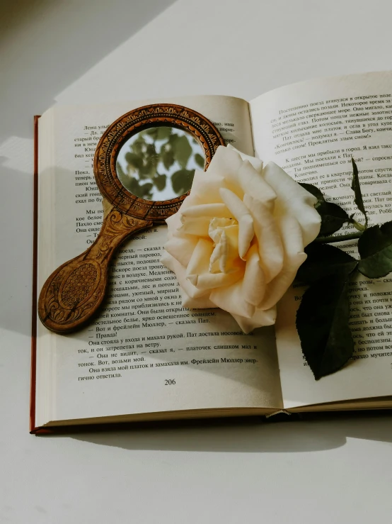 a white rose sitting on top of an open book, a still life, pexels contest winner, magnifying glass, looking in a mirror, product introduction photo, discovered in a secret garden