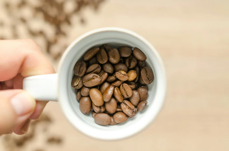 a person holding a cup filled with coffee beans, pexels contest winner, photorealism, white, fan favorite, avatar image, high angle close up shot