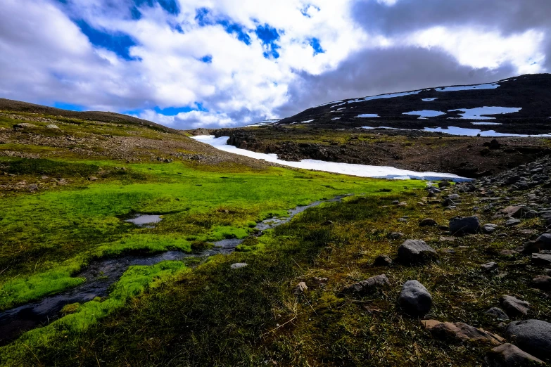 a stream of water running through a lush green field, by Jesper Knudsen, pexels contest winner, hurufiyya, mountain snow, dessert, hamar, high quality image”