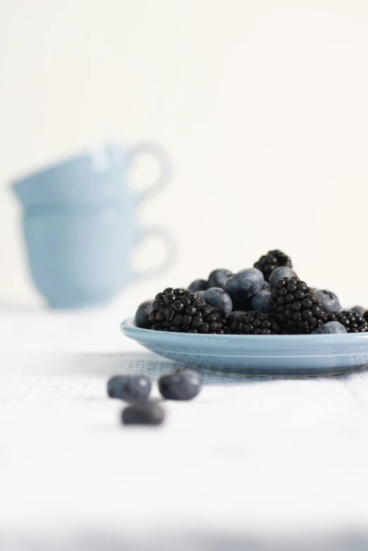 a bowl of blueberries sitting on top of a table, by Lucette Barker, black and blue and purple scheme, high quality product image”, blue mist, medium format