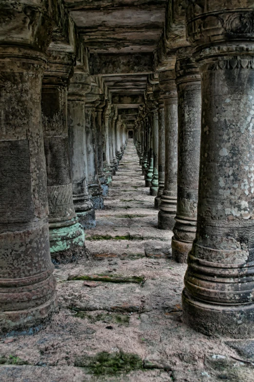 a row of stone pillars with moss growing on them, inspired by Steve McCurry, angkor thon, hallways, elegant intricate, grey