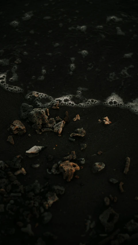 a close up of rocks and water on a beach, an album cover, unsplash contest winner, tonalism, volcanic skeleton, black and brown colors, iceland, asteroids