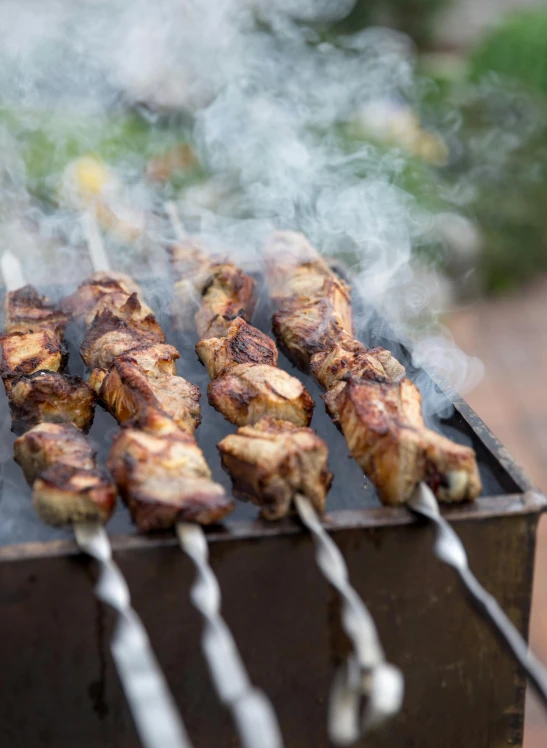 several skewered meats being cooked on a grill, by Niko Henrichon, pexels contest winner, hurufiyya, “ iron bark, mint, photograph taken in 2 0 2 0, chicken