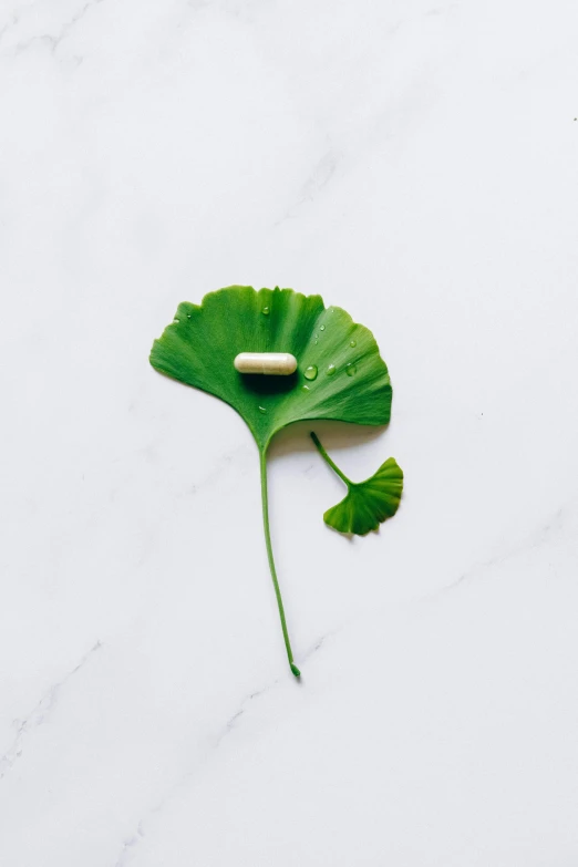 a close up of a leaf with a pill on it, a picture, trending on pexels, minimalism, ginko showing a new mushi, productphoto, white, botanical herbarium