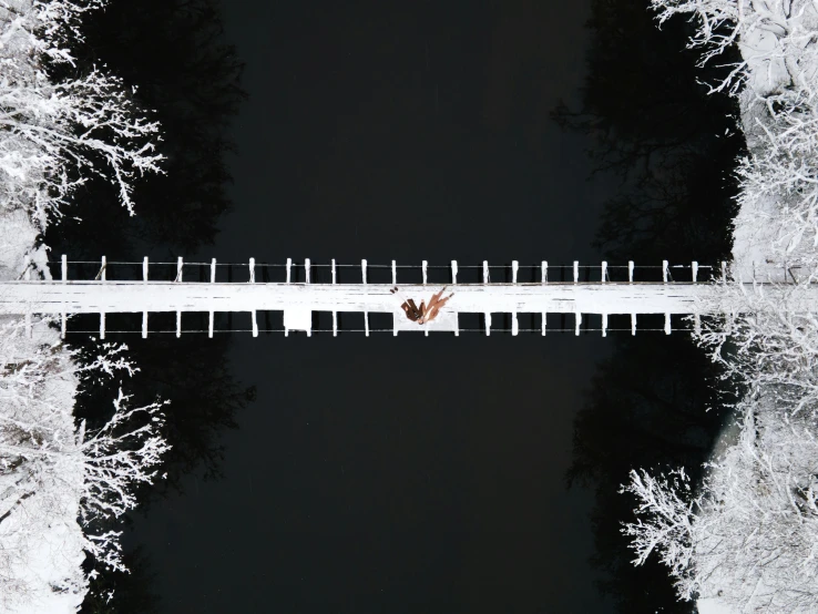 a couple of people that are standing on a bridge, inspired by Pierre Pellegrini, pexels contest winner, art photography, top down extraterrestial view, snowy, high contrast 8k, white on black