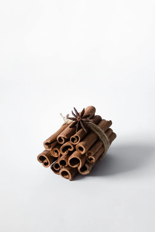 cinnamon sticks tied up on a white surface, a still life, unsplash, detailed product image, with intricate detail, 1 6 x 1 6, stacked