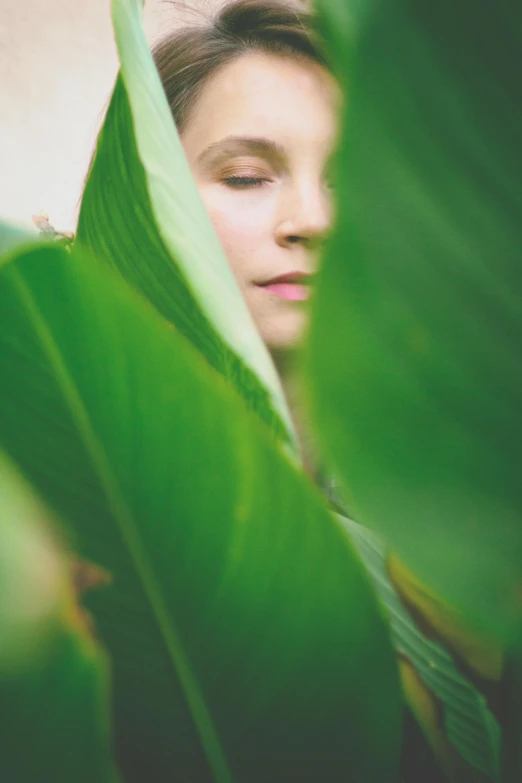 a close up of a person behind a leaf, inspired by Elsa Bleda, renaissance, portrait of elle fanning, hiding behind obstacles, photoshoot for skincare brand, greens)