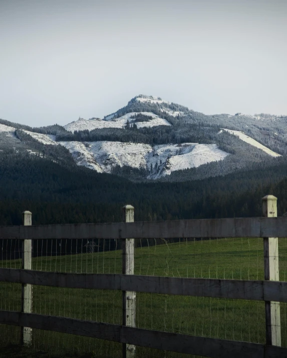 a fenced in field with a mountain in the background, by Peter Churcher, unsplash, with snow on its peak, forestry, te pae, today\'s featured photograph 4k