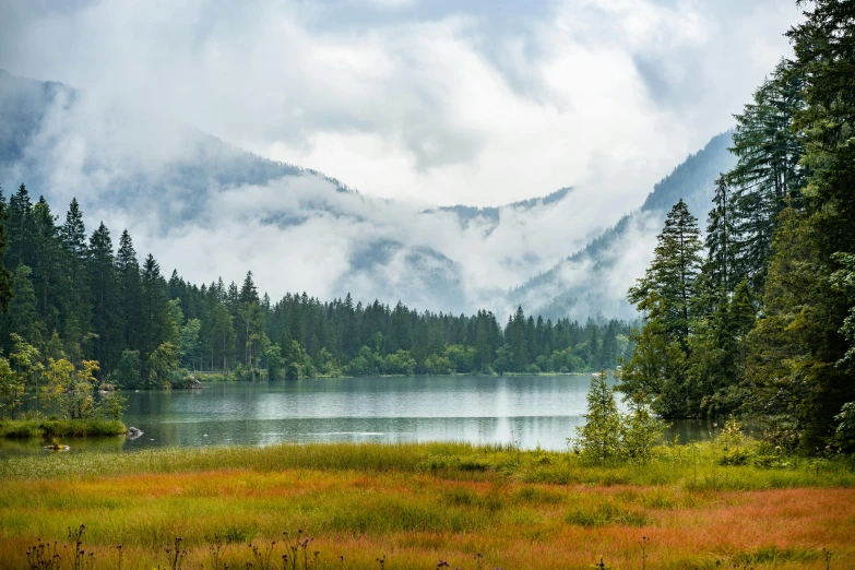 a large body of water surrounded by trees, by Sebastian Spreng, pexels contest winner, low clouds after rain, evergreen valley, red lake, conde nast traveler photo