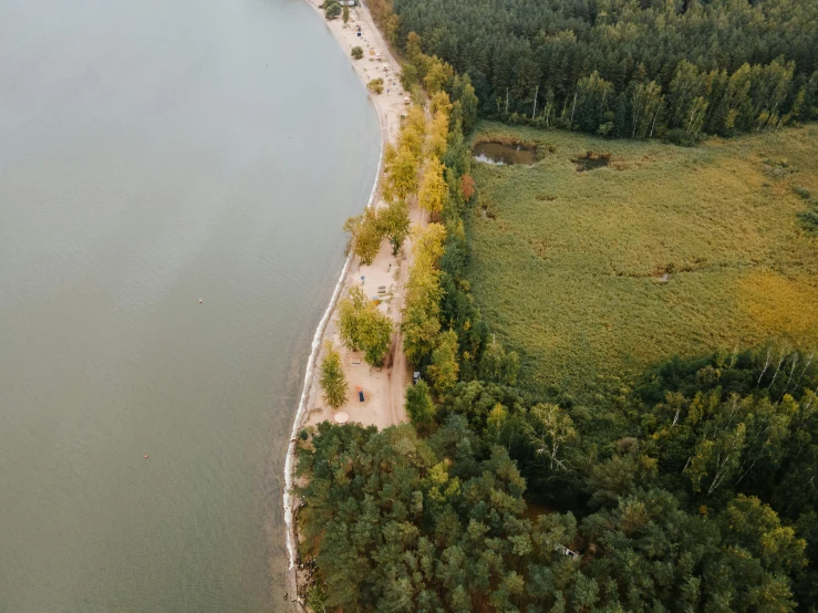 a large body of water next to a forest, by Adam Marczyński, pexels contest winner, summer street near a beach, sport, brown, ultradetailed