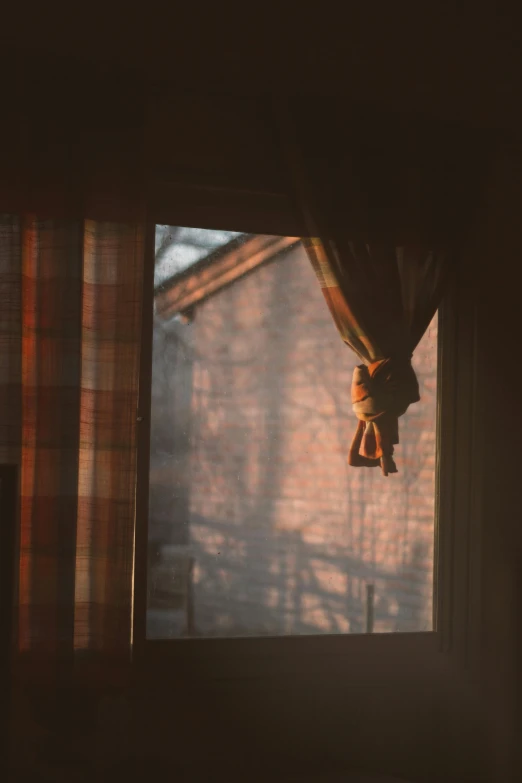 a cat that is looking out of a window, a picture, inspired by Elsa Bleda, pexels, curtains, autumn sunrise warm light, shot with a arriflex 35 ii, puppet on a string