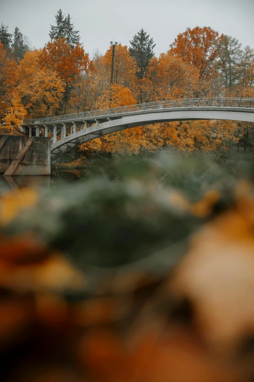 a bridge over a body of water surrounded by trees, by Jessie Algie, pexels contest winner, gray and orange colours, 2 5 6 x 2 5 6 pixels, leafs falling, cinematic lut