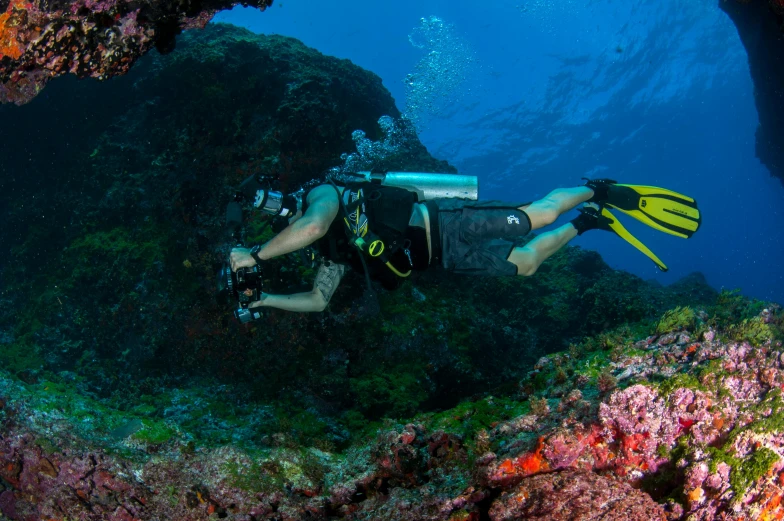 a man scubas through a hole in the ocean, lush surroundings, avatar image, coral sea bottom, profile image