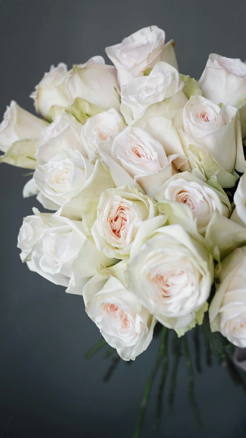 a bunch of white roses in a vase, zoomed in, on grey background, pinks, award winning