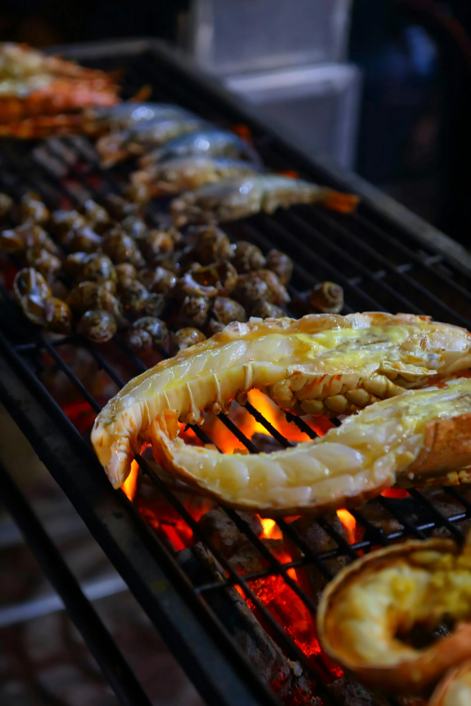 a grill topped with lots of different types of food, by Basuki Abdullah, unsplash, prawn, oman, burning, low detailed