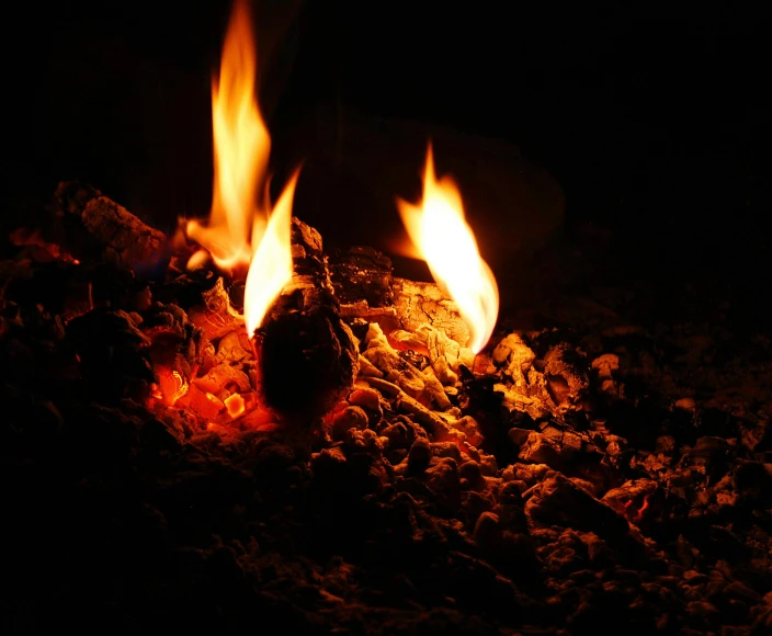 a close up of a fire in the dark, torches in ground, flaming leaves, profile image, volcanic workshop background