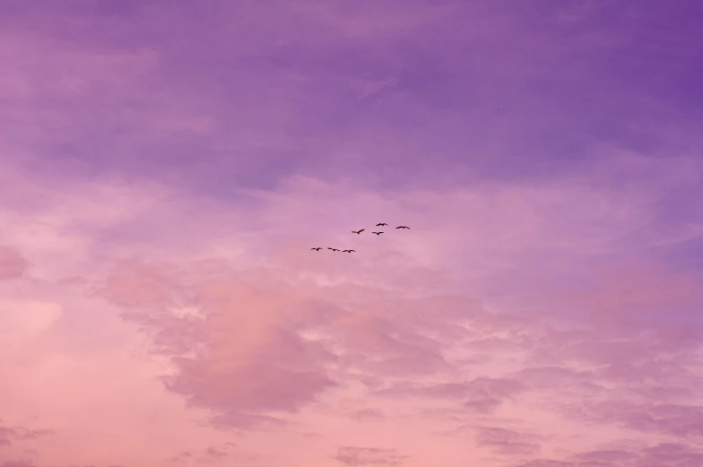 a flock of birds flying through a cloudy sky, an album cover, by Carey Morris, pexels contest winner, aestheticism, gradient purple, calm evening, pink, gliding