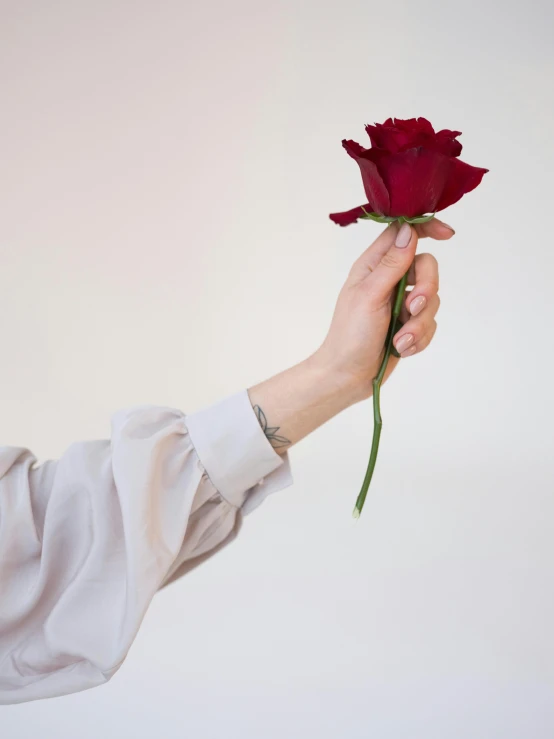 a person holding a red rose in their hand, inspired by Marina Abramović, wearing a white button up shirt, plated arm, detailed product image, porcelain pale skin