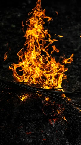 a close up of a fire on the ground, by Dave Allsop, pexels, ap news photograph, mythological, panels, contain