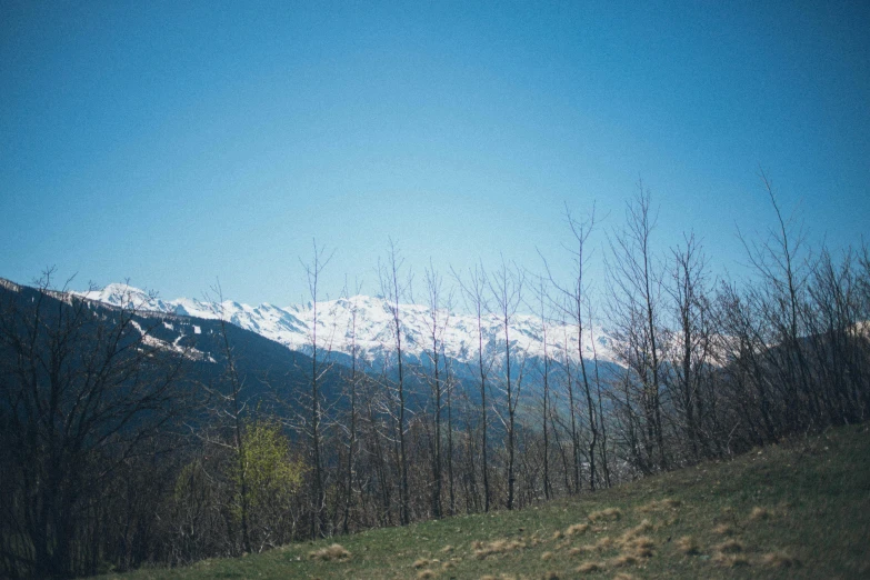 a red fire hydrant sitting on top of a lush green hillside, by Muggur, unsplash, les nabis, snow capped mountains, sparse bare trees, 1990s photograph, fujicolor superia photo