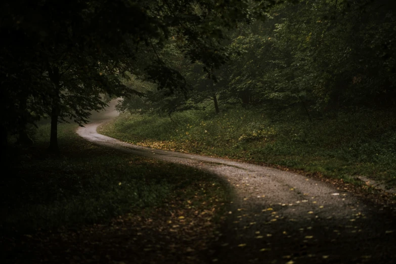 a dirt road in the middle of a forest, unsplash contest winner, tonalism, very detailed curve, paul barson, ready to eat, curving