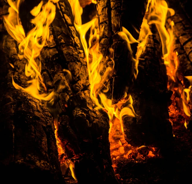 a close up of a fire burning in a fireplace, by Daniel Lieske, pexels contest winner, visual art, burning trees, avatar image, print ready, a wooden