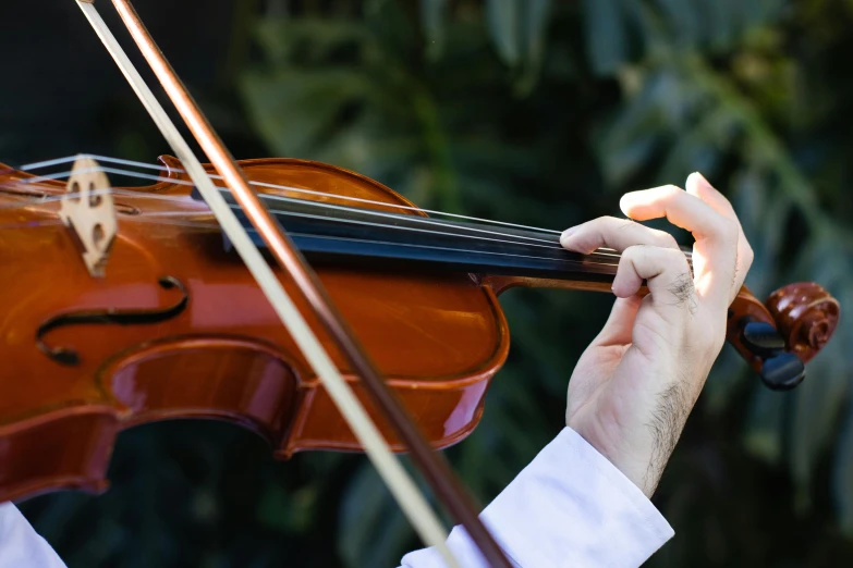a close up of a person playing a violin, by Elizabeth Durack, unsplash, lush surroundings, 15081959 21121991 01012000 4k, panels, wedding