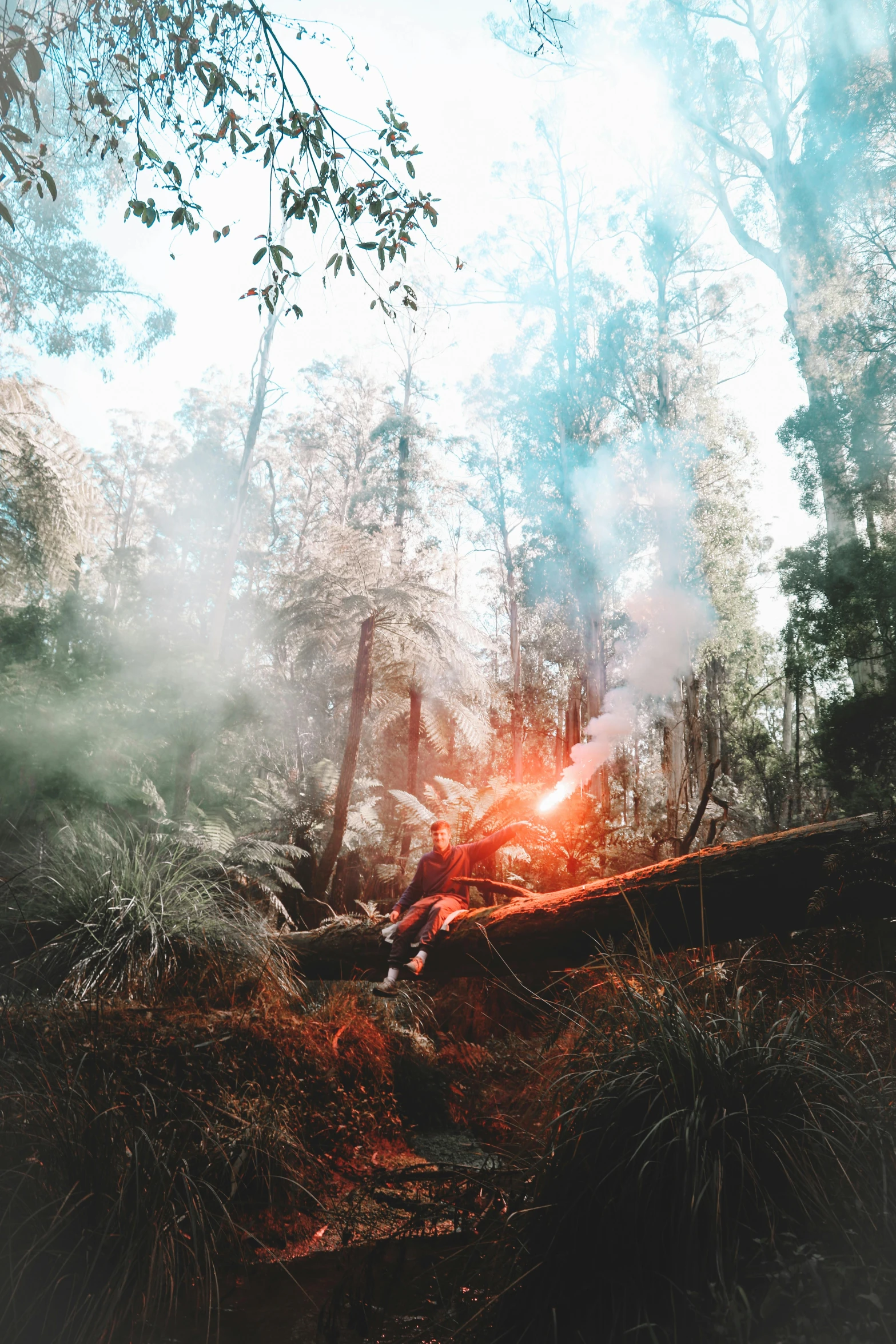 a person sitting on a log in the woods, a picture, unsplash contest winner, process art, smoke grenades, australian bush, flamethrower, pov shot