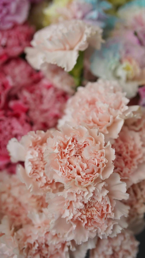 a bunch of pink and white carnations, pexels, award-winning crisp details”, subtle detailing, paisley, detail shot