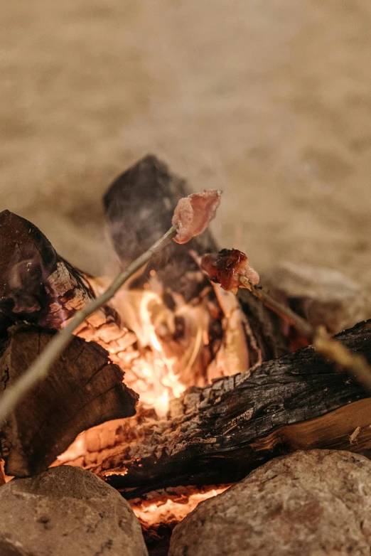 a person roasting marshmallows over a campfire, unsplash, renaissance, meats on the ground, bushfire, photo of a camp fire underwater, samburu