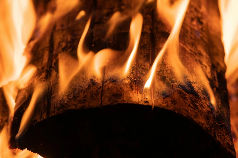 a close up of a fire burning in a fireplace, pexels contest winner, extreme log shot, profile image, wood effect, 1 4 9 3