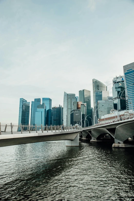 a bridge over a body of water with a city in the background, by Patrick Ching, pexels contest winner, happening, the singapore skyline, brutalist buildings, slightly sunny weather, panorama