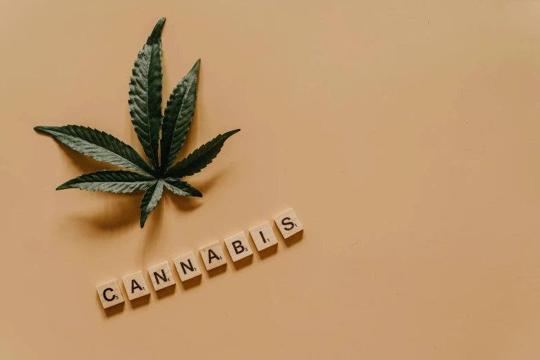 a marijuana leaf with the word cannabis spelled on it, an album cover, trending on pexels, ceramics, background image, nfts, minimalist