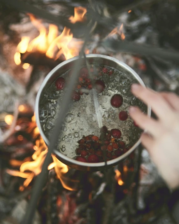 a person holding a pot of food over a fire, submerged in cranberries, botanicals, rose petals, salt