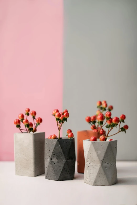 a couple of vases sitting on top of a table, concrete art, “berries, geometric style, hero shot, in a row