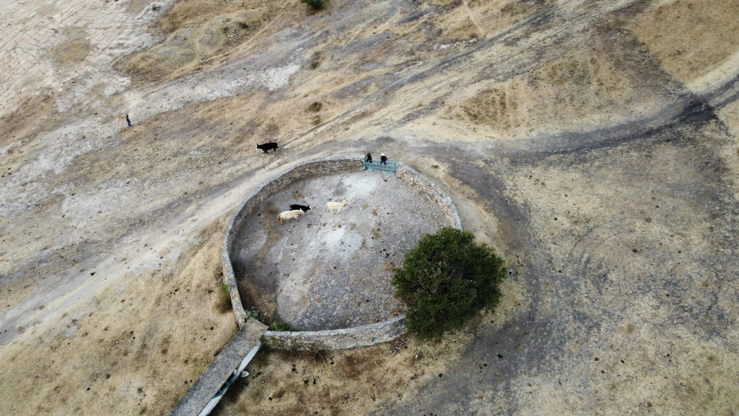 an aerial view of a stone structure in the desert, circular gate in a white wall, tiny people walking below, atlach - nacha, an ox