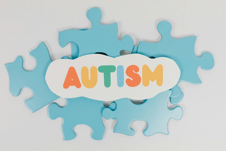 a puzzle piece with autism written on it, a jigsaw puzzle, by Jessie Algie, asset on grey background, inflateble shapes, children's, multi-part