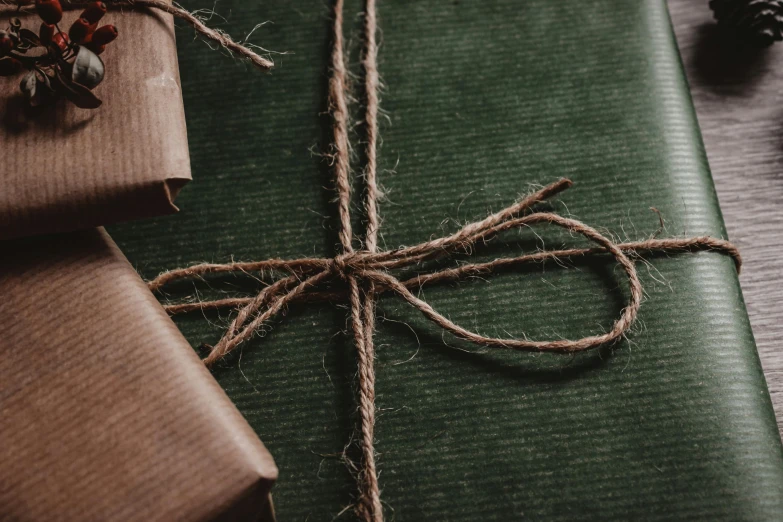 a couple of wrapped presents sitting on top of a table, by Emma Andijewska, pexels contest winner, renaissance, green and brown tones, closeup - view, sleek spines, deep green