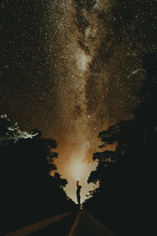 a person standing on a road with the milky in the background, by Pablo Rey, unsplash contest winner, light and space, tree in a galaxy made of stars, brown, profile picture, up there