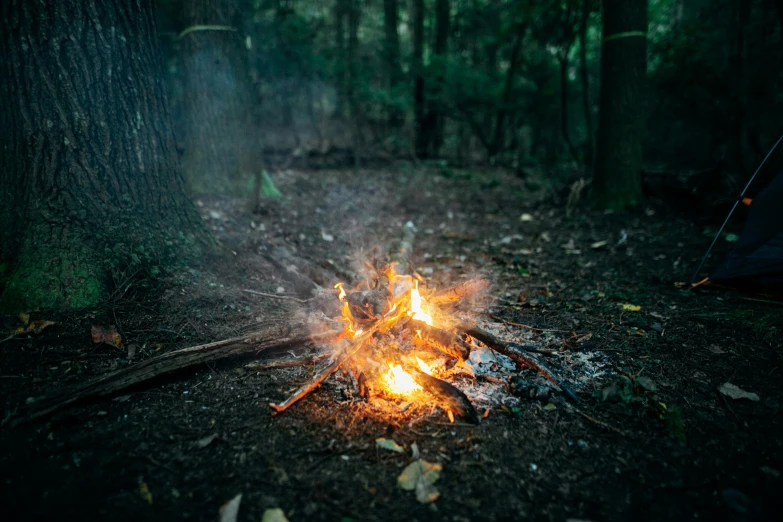 a campfire in the woods with a tent in the background, unsplash, land art, lachlan bailey, light casting onto the ground, fire texture, 1 2 9 7