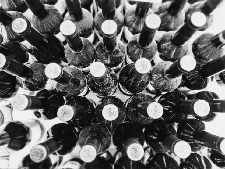 a black and white photo of a bunch of wine bottles, by Karl Buesgen, top down view, 64x64, archive photo, digital image