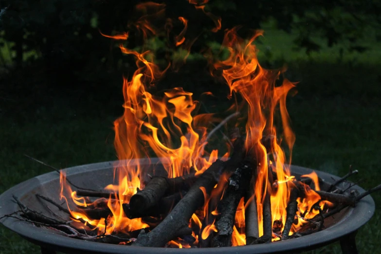 a fire pit sitting on top of a lush green field, swirling flames, coloured in orange fire, holding a burning wood piece, flame shrubs