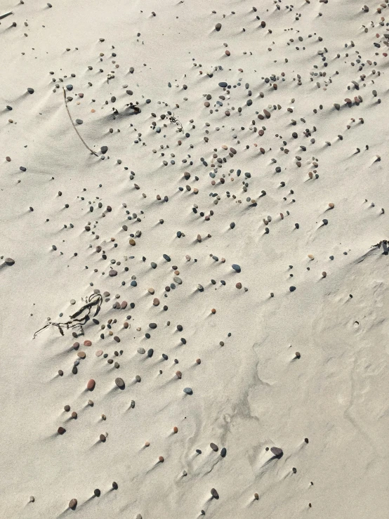 a person riding a surfboard on top of a sandy beach, inspired by Andreas Gursky, unsplash contest winner, land art, crowd of androids, moshrooms on ground, seen from a plane, ((rocks))