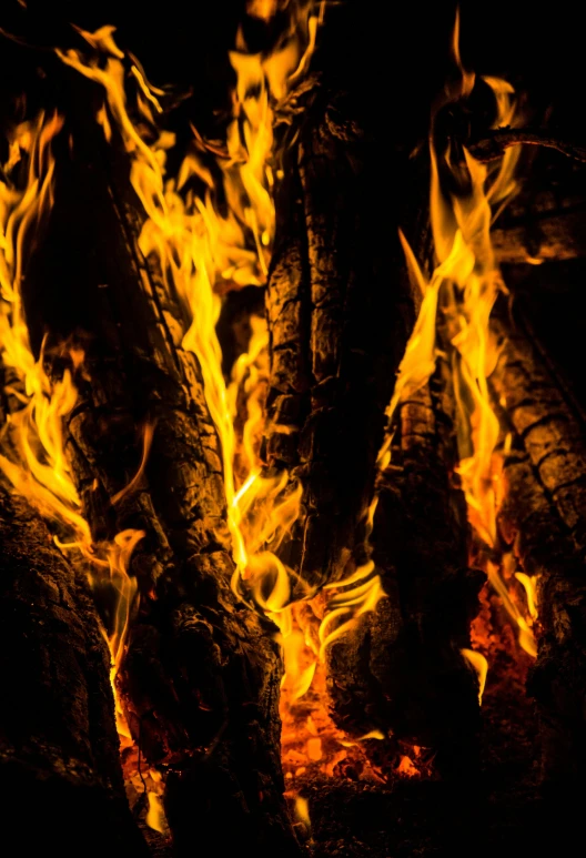 a bunch of logs sitting on top of a fire, an album cover, by Matt Cavotta, pexels contest winner, renaissance, fire texture, avatar image, up close picture, burning wings