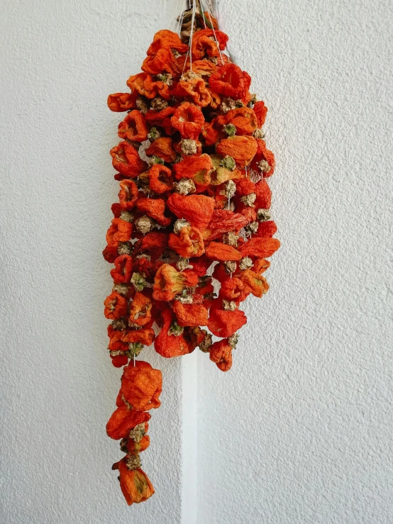 a bunch of dried flowers hanging from a hook, by Dorothy Bradford, hurufiyya, chorizo sausage, condorito, hyper realistic ”, vibrant orange