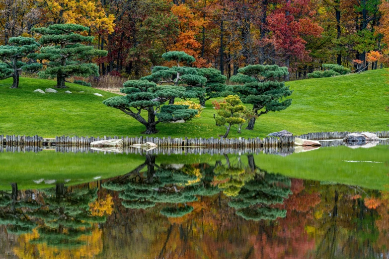 a group of trees sitting on top of a lush green hillside, pexels contest winner, visual art, reflective water koi pond, autum garden, korean, landscape architecture photo